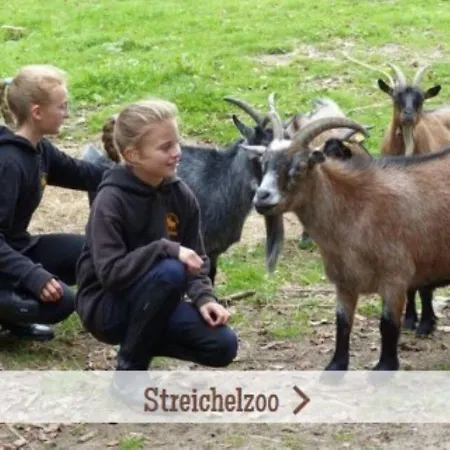 Bernsteinreiter Erlebnishof Barth, Blockhütte 20