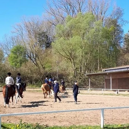 Bernsteinreiter Erlebnishof Barth, Blockhütte 20 Hotel Barth
