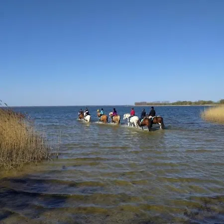 Hotel Bernsteinreiter Erlebnishof Barth, Blockhütte 20 *